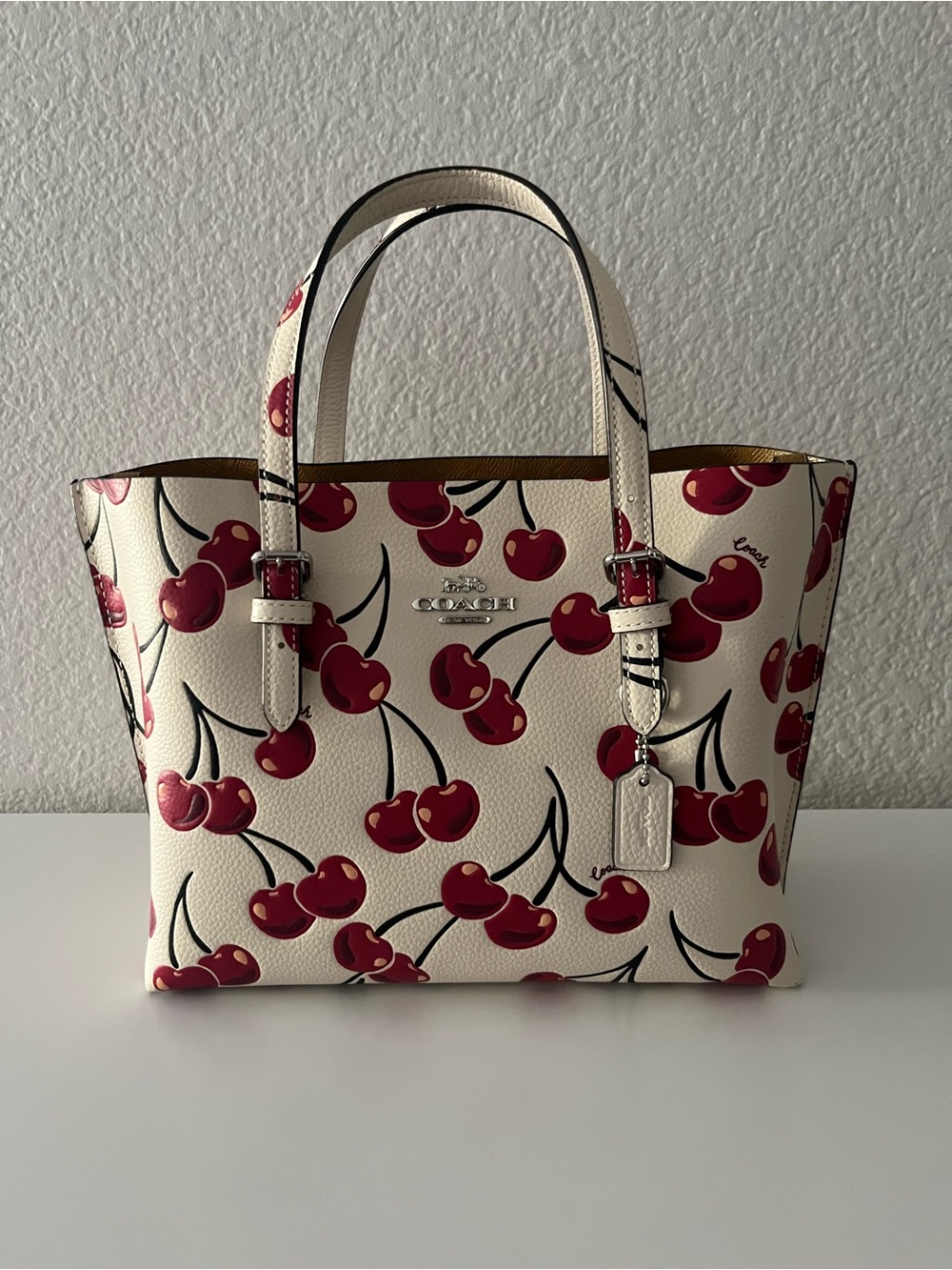 COACH Mollie Tote Bag 25 - Picture 2 of 15